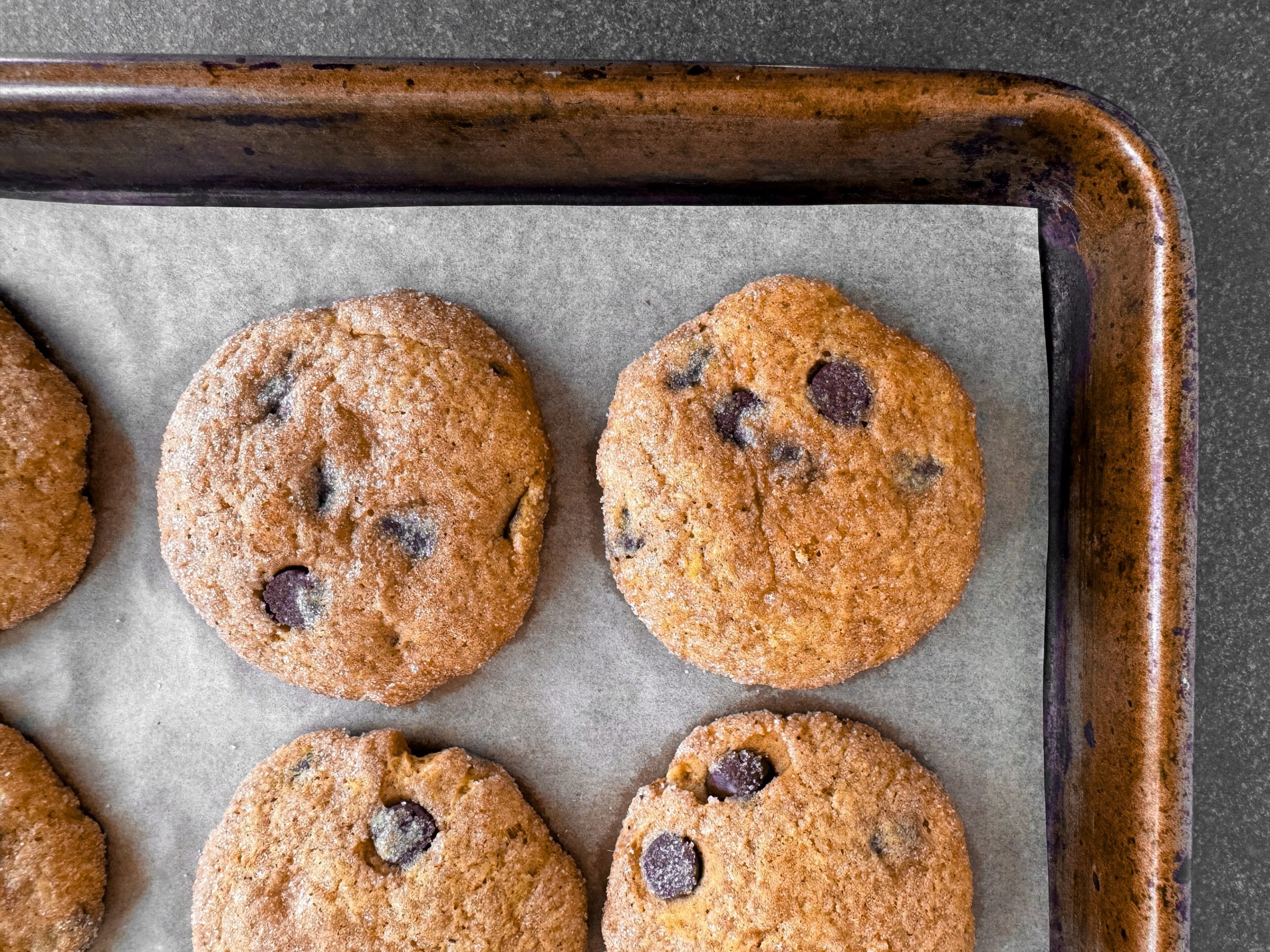 Biscuits choco-citrouille